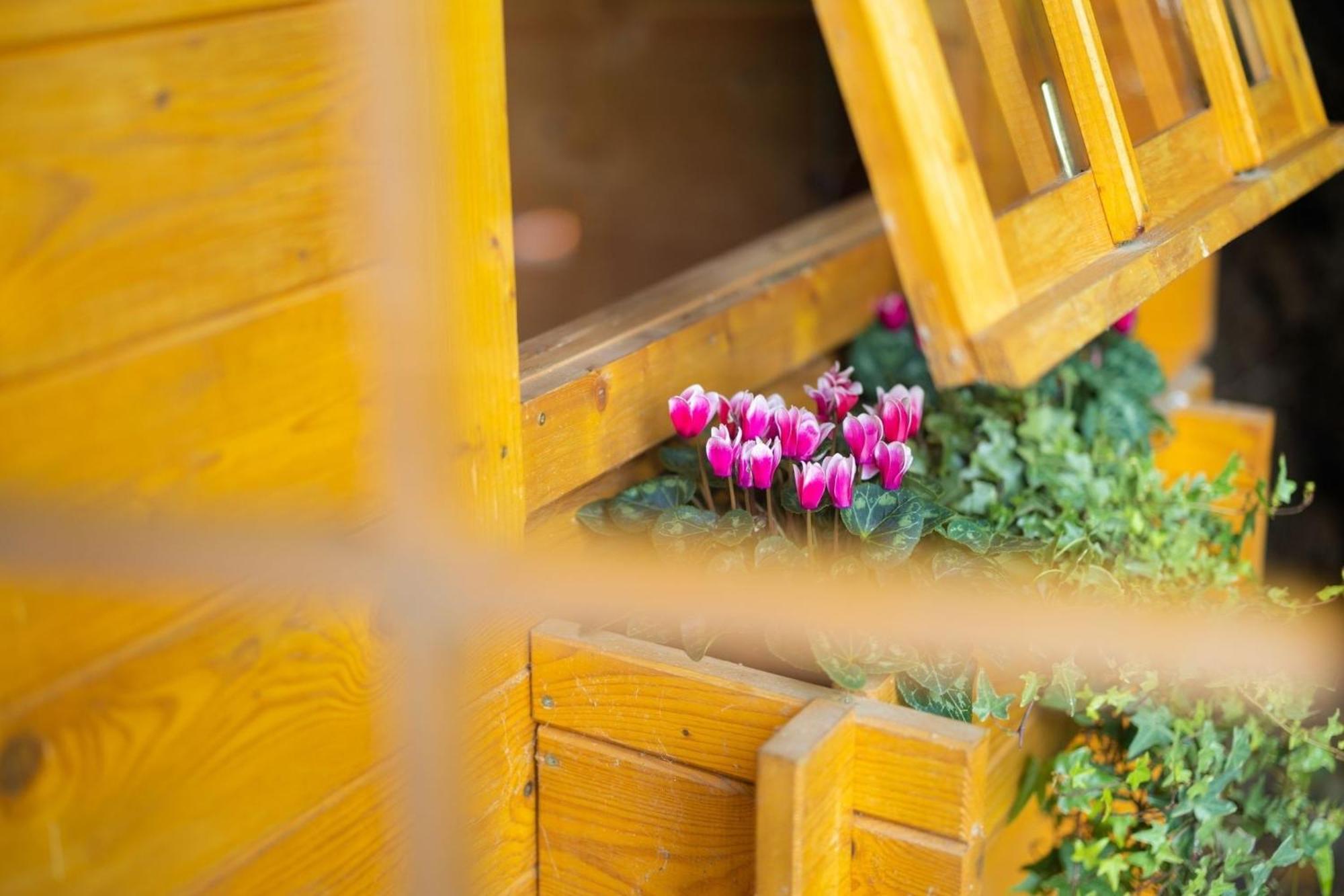 Gartenfewo Bad Wünnenberg Εξωτερικό φωτογραφία
