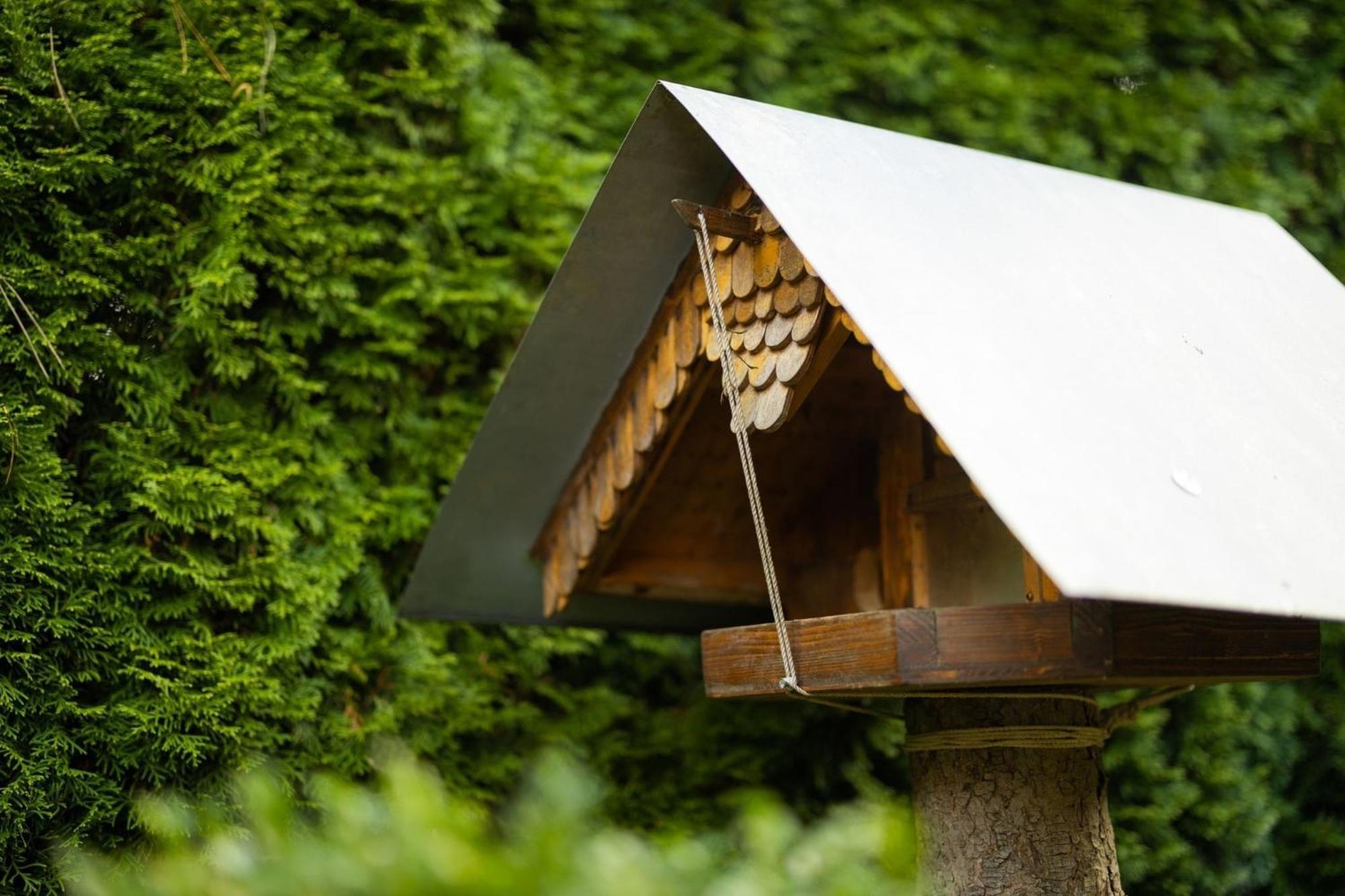 Gartenfewo Bad Wünnenberg Εξωτερικό φωτογραφία